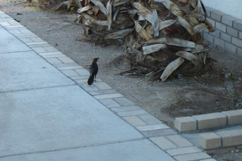 DSC02495.JPG