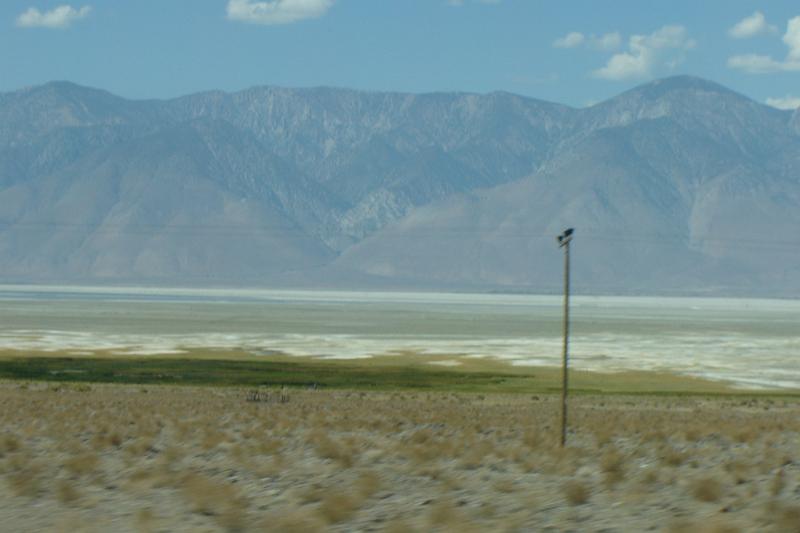 DSC02552.JPG