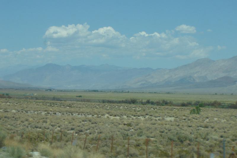 DSC02571.JPG