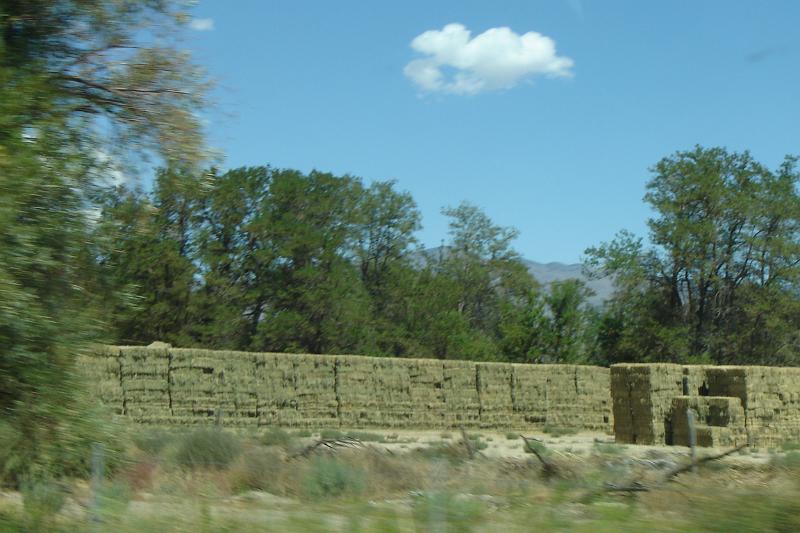 DSC02574.JPG