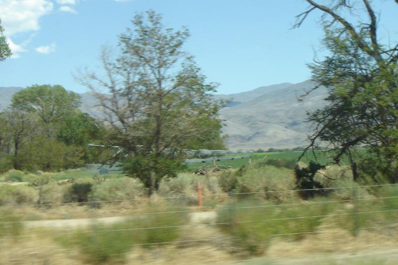 DSC02575.JPG