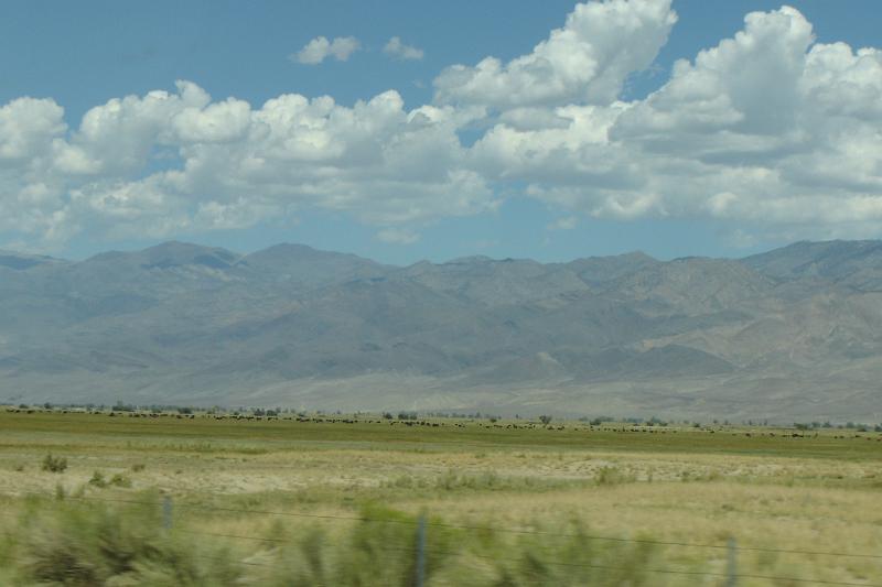 DSC02581.JPG