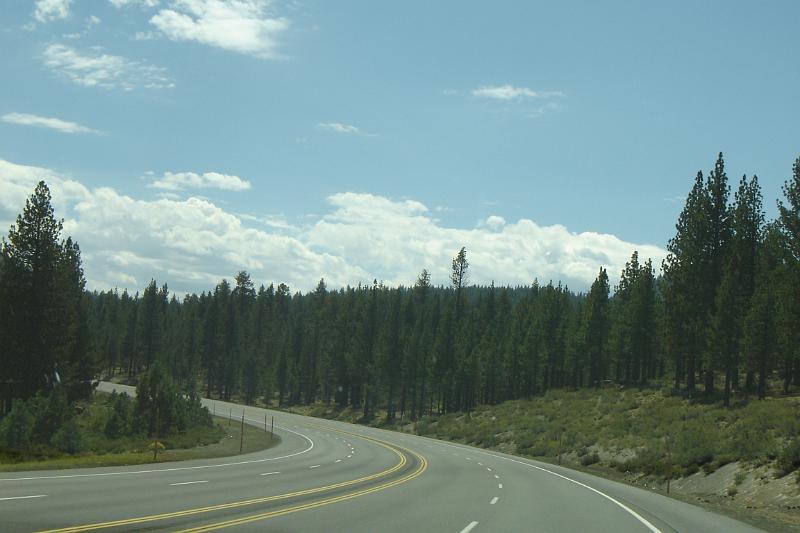 DSC02776.JPG
