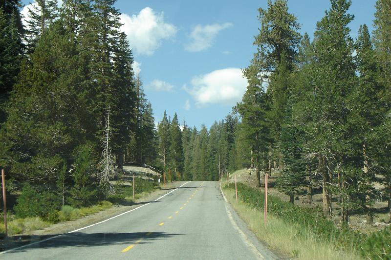 DSC02798.JPG