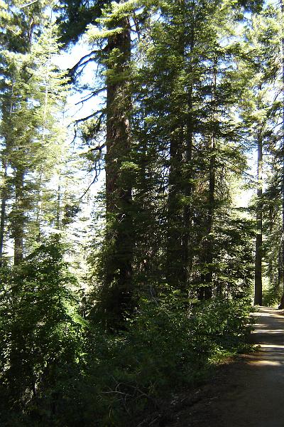 DSC02871.JPG