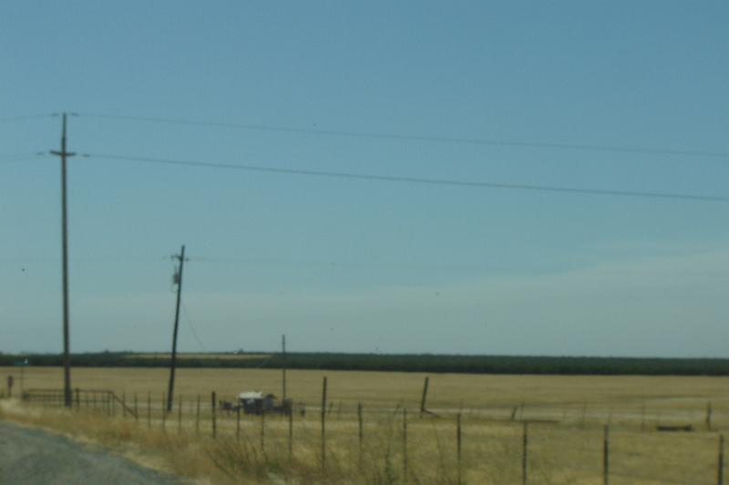 DSC02897.JPG