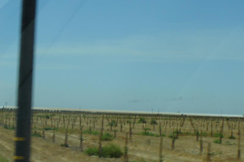 DSC02900.JPG
