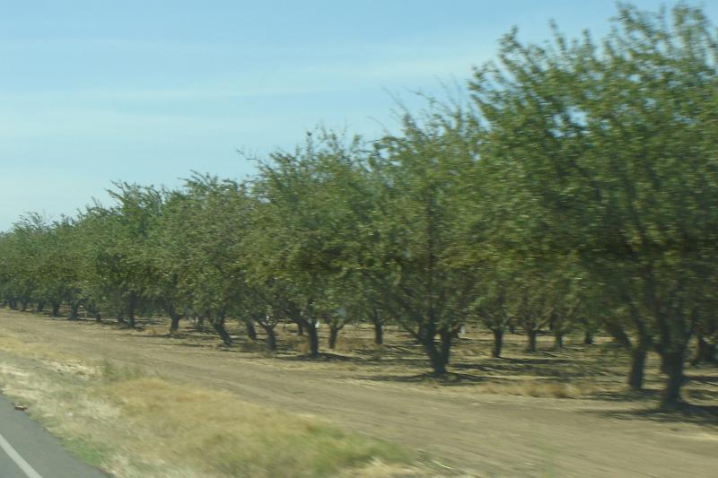 DSC02907.JPG