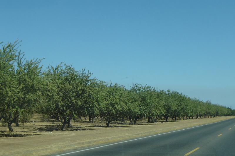 DSC02909.JPG