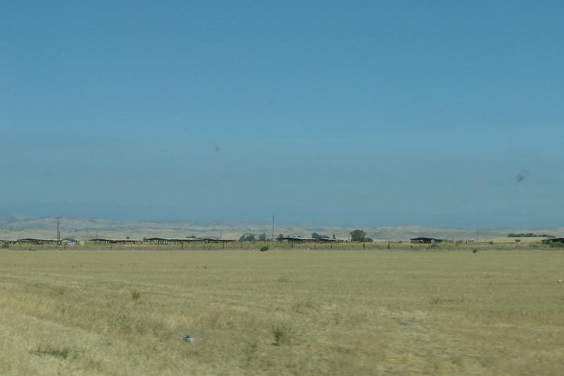 DSC02915.JPG