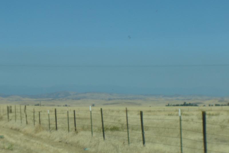 DSC02918.JPG