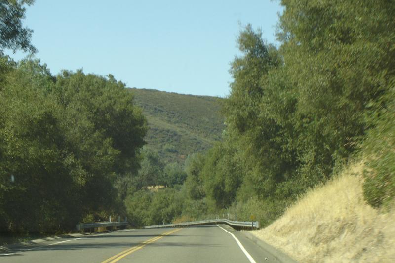 DSC02961.JPG
