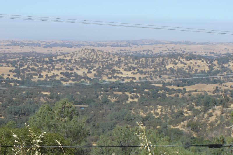 DSC02968.JPG