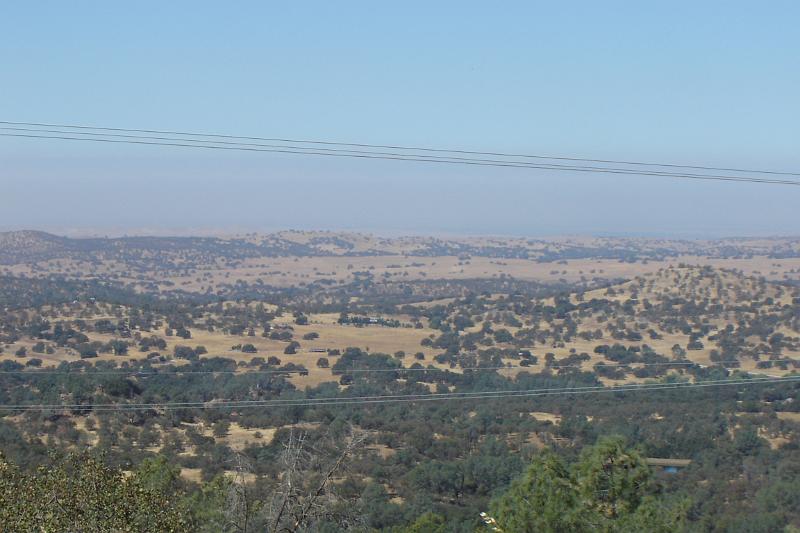 DSC02970.JPG