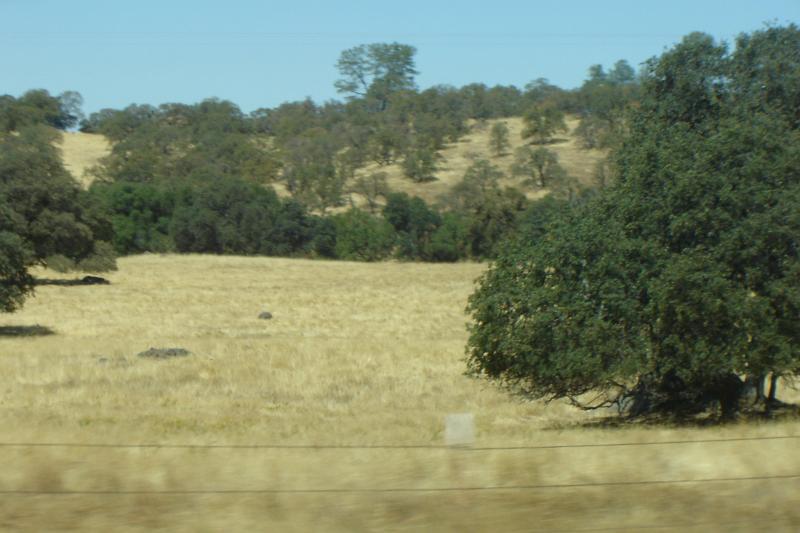 DSC02972.JPG