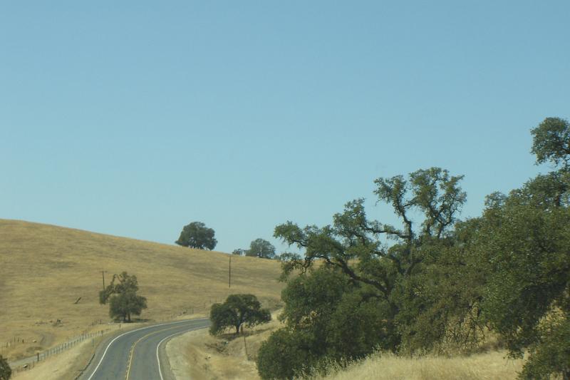DSC02975.JPG