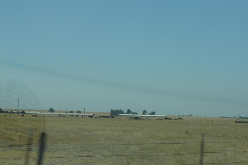DSC02981.JPG