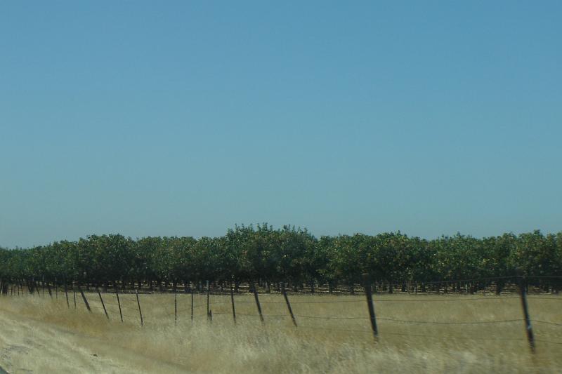 DSC02982.JPG