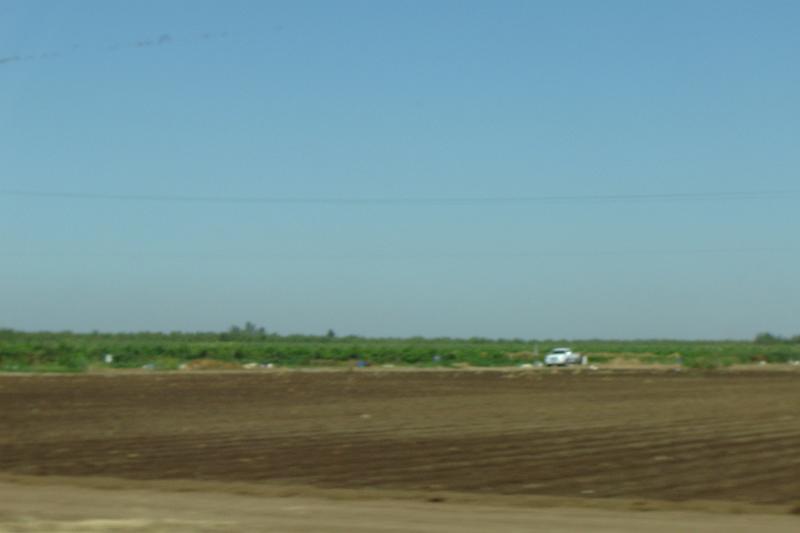 DSC02983.JPG