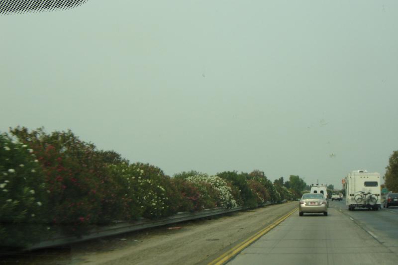 DSC02992.JPG