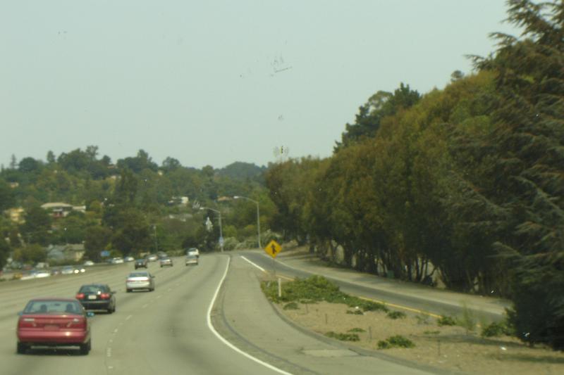 DSC03006.JPG