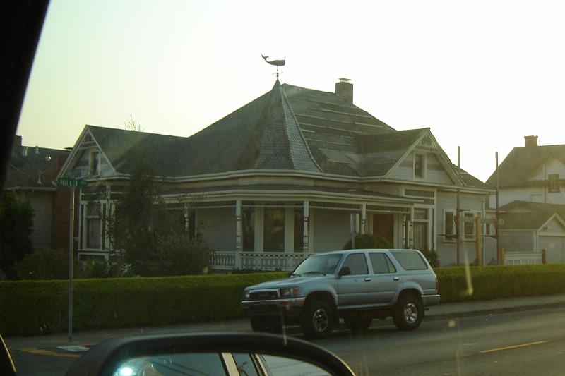 DSC03173.JPG