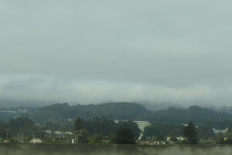 DSC03175.JPG