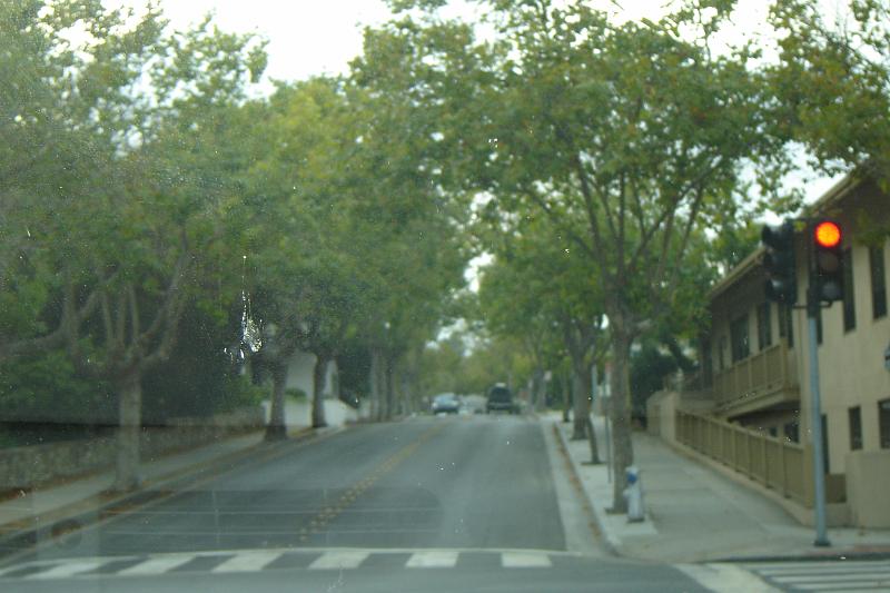 DSC03229.JPG
