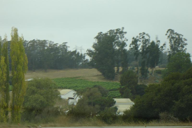 DSC03251.JPG