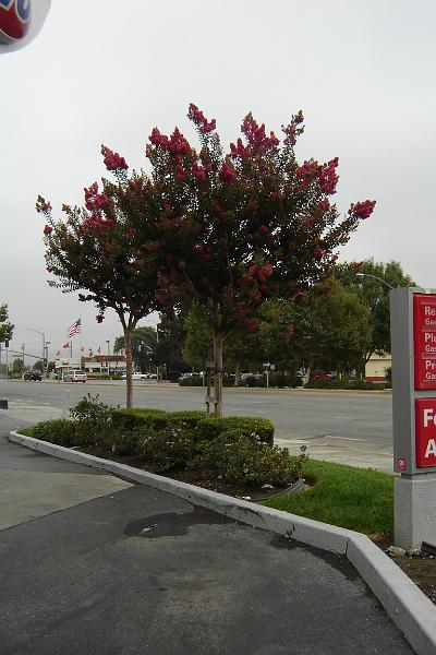 DSC03252.JPG