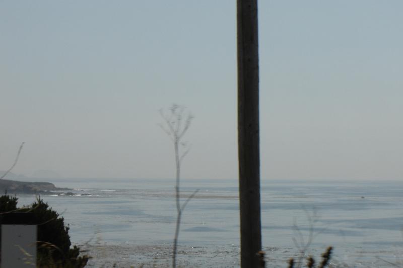 DSC03270.JPG