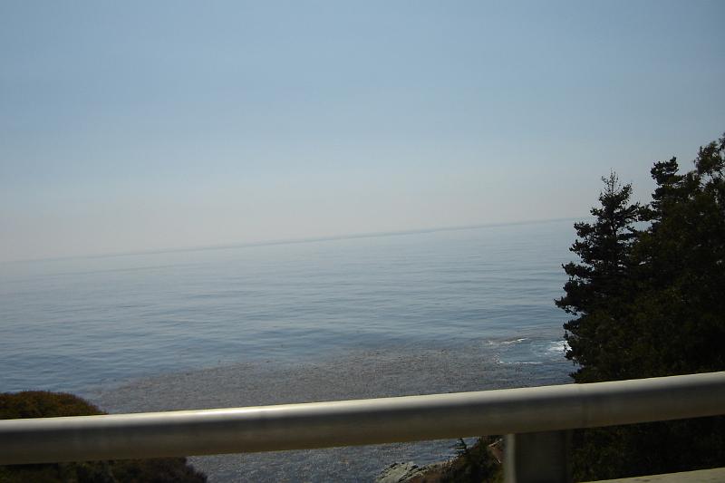 DSC03290.JPG