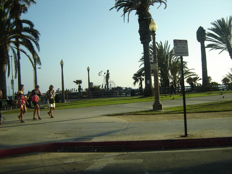 DSC01453.JPG