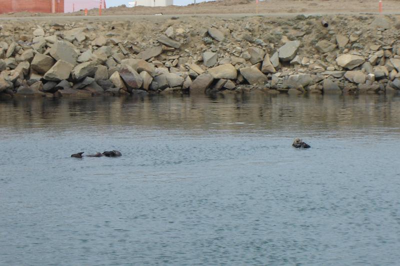DSC03352.JPG