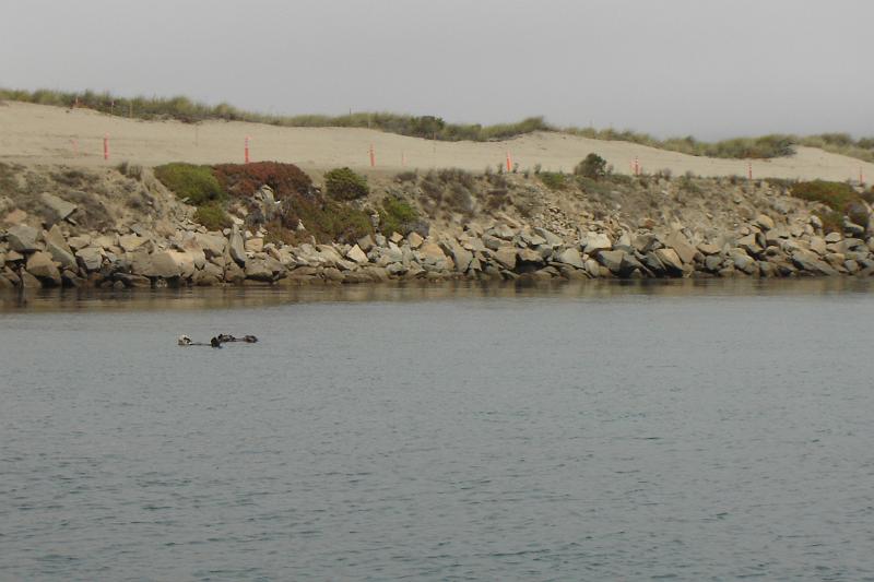 DSC03356.JPG