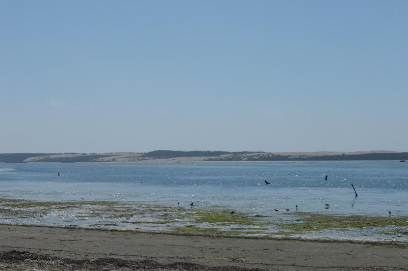 DSC03381.JPG