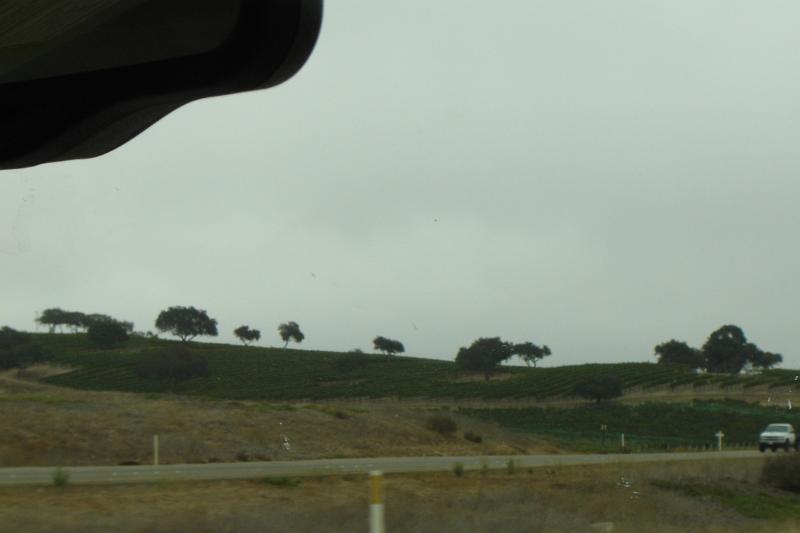 DSC03406.JPG