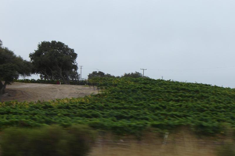 DSC03408.JPG