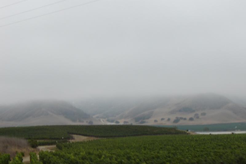 DSC03410.JPG