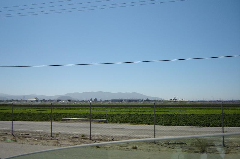 DSC03429.JPG