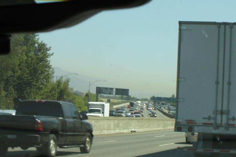 DSC03435.JPG