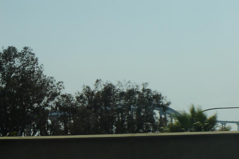 DSC01481.JPG