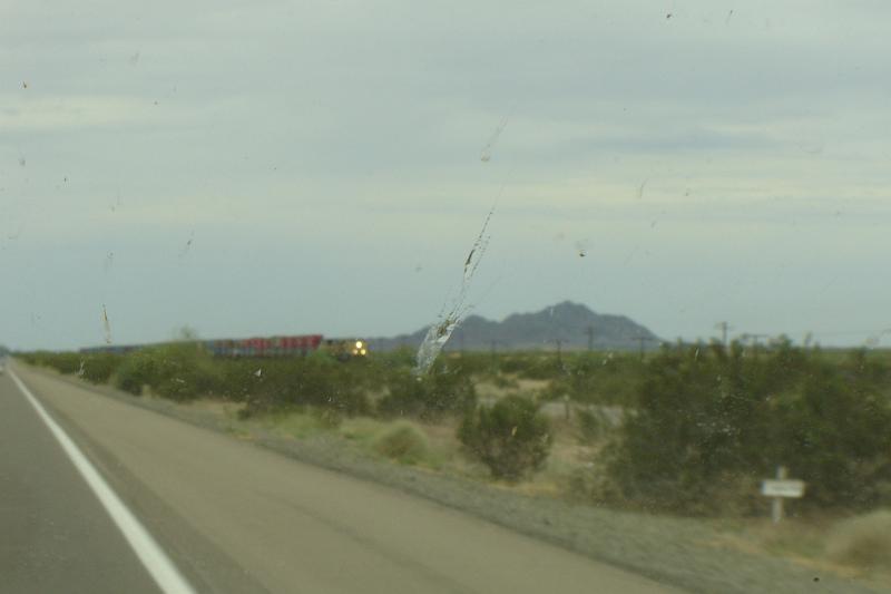 DSC01530.JPG