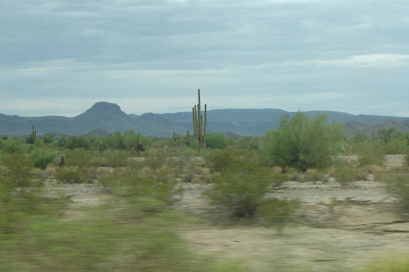 DSC01540.JPG