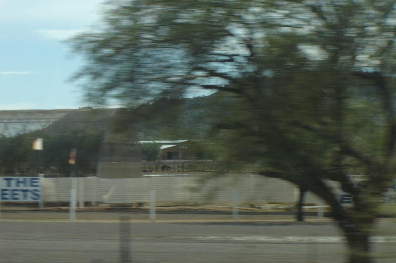 DSC01546.JPG