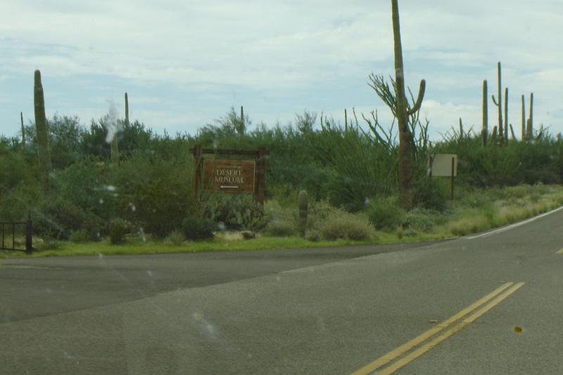 DSC01626.JPG
