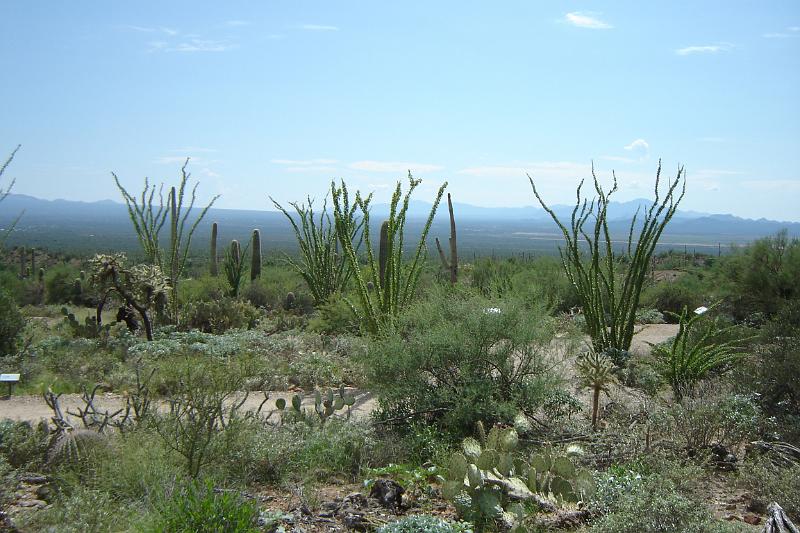 DSC01635.JPG