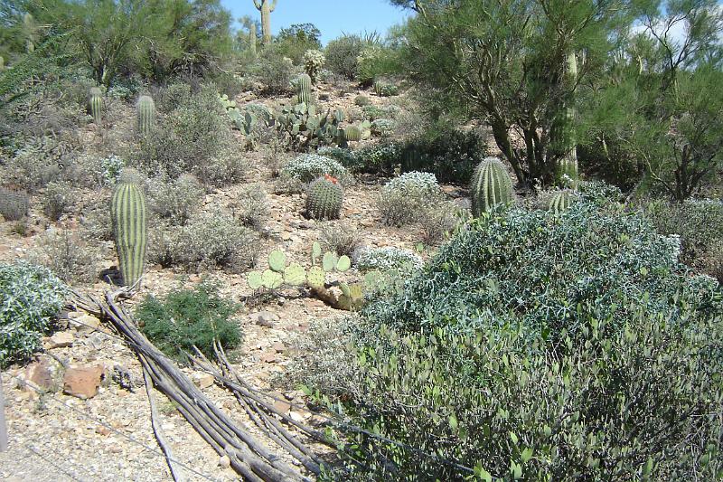 DSC01639.JPG