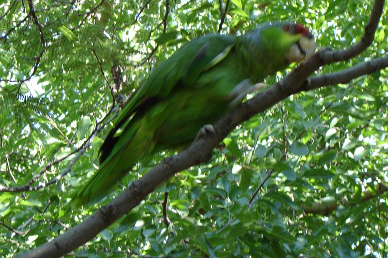 DSC01656.JPG