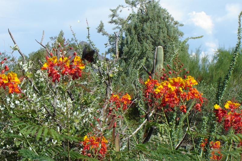 DSC01666.JPG